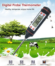 Load image into Gallery viewer, Digital Meat Thermometer